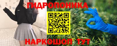 apvp Ярославль